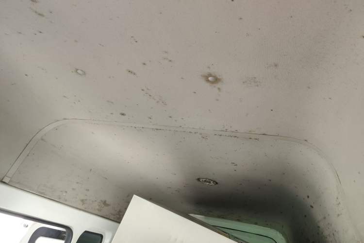 Used Foton Scenic G7 2016 2.0L Commercial Version Long Wheelbase High Roof – 4Q20M