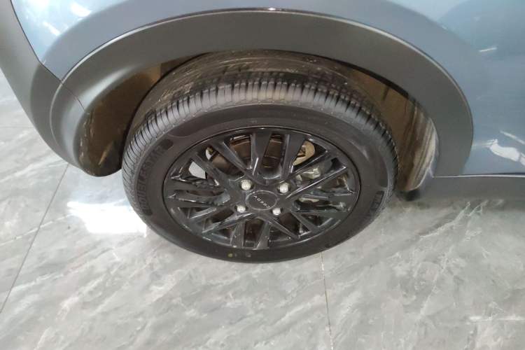 Used Chery Little Ant 2023 251km True Love Edition Lithium Iron Phosphate