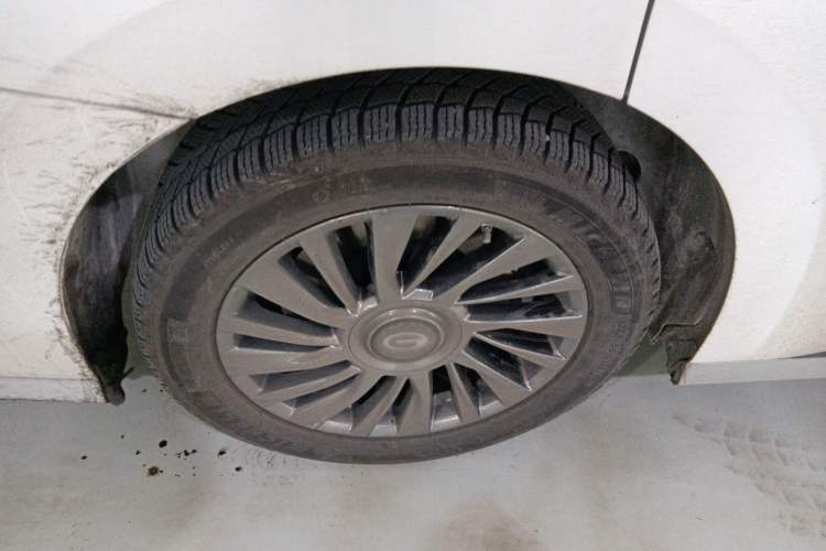 Used GAC Trumpchi M8 2023 Zongshi Series Dual-Motor YuZun Edition