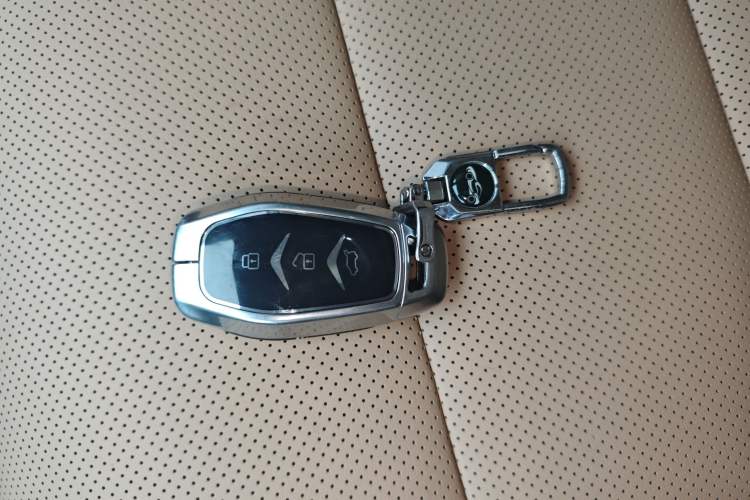 Used Landian E5 PLUS 2025 165 km Long-Range Version PLUS 5-Seater