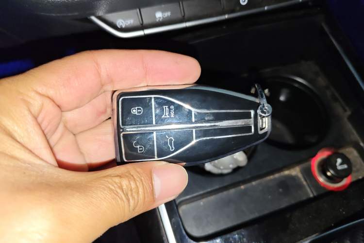 Used Hongqi HS5 2019 2.0T Smart Connect Flagship Edition