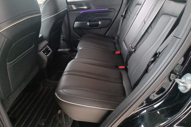 Used Tank 300 2021 City Edition 2.0T—Truly Stylish Left Rear Seat