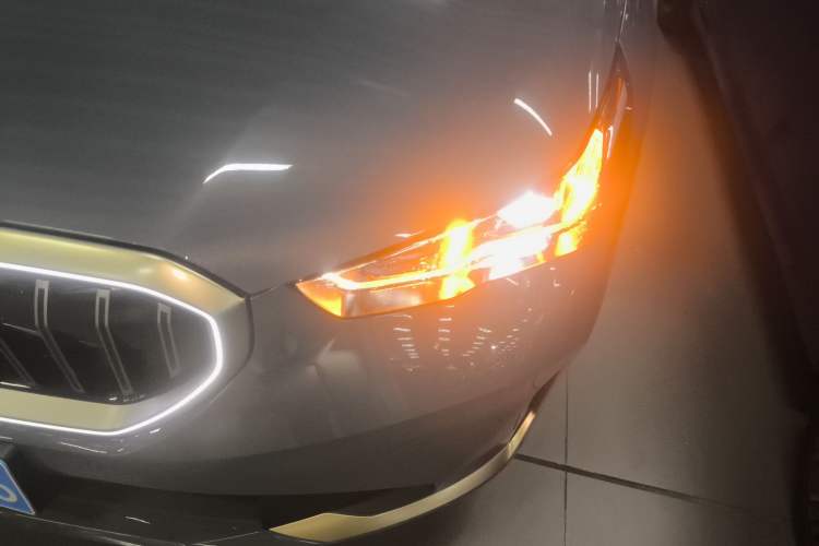 Used BMW 5 Series 2024 530Li Luxury Package Premium Edition
