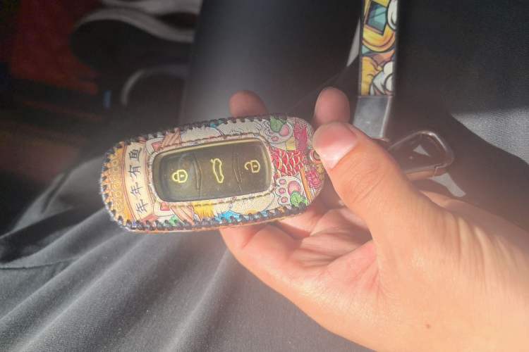 Used Geely Auto Vision 2020 1.5L CVT Asian Games Edition Vehicle Key