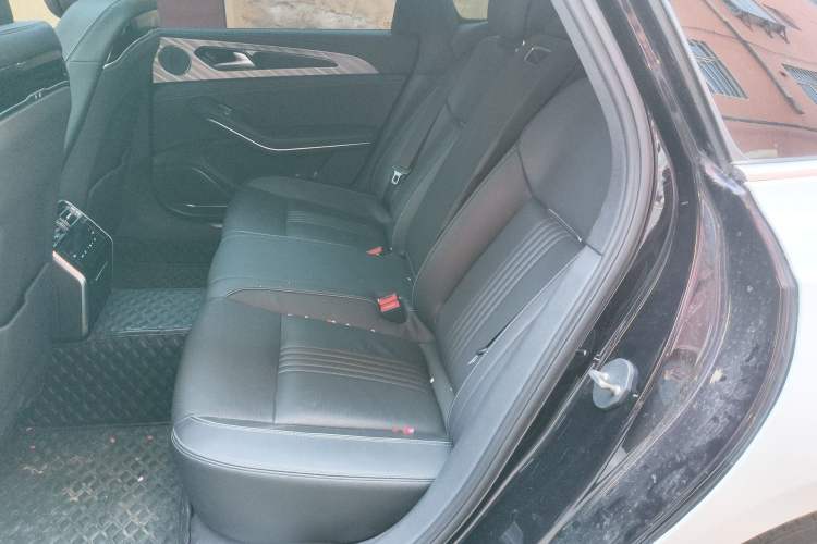 Used Hongqi H9 2020 2.0T Smart Connect Flagship Edition Left Rear Seat