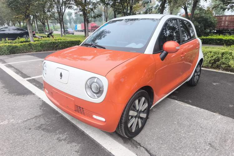 Used ORA Black Cat 2019 351 km Goddess Edition