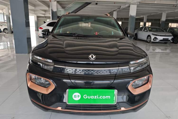 Used Dongfeng NAMMI EX1 2023 PRO Light Wind Edition Lightning Model