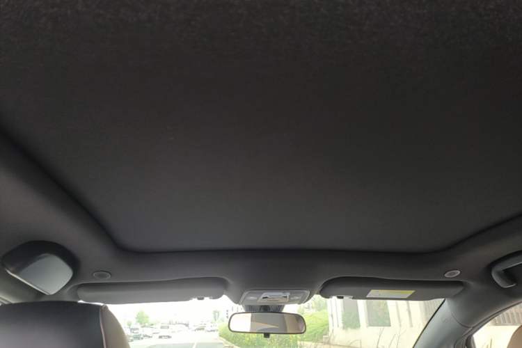 Used BYD Dolphin 2021 405 km Fashion Edition Headliner