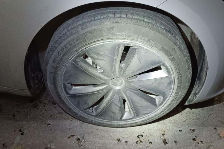 Used Tesla Model 3 2023 Rear-Wheel-Drive Version