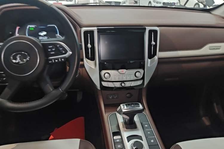 Used Great Wall Poer 2019 2.0T Automatic Gasoline 4x4 Premium Edition GW4C20B