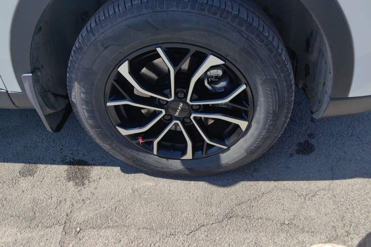 Used Haval H6 2023 National Trend Edition 1.5T Automatic Urban Version
