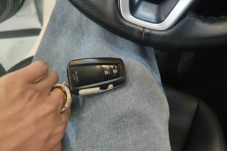 Used Toyota Wildlander 2021 Dual-Motor 2.5L E-CVT Four-Wheel Drive Luxury Edition
