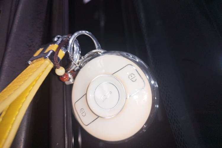 Used smart #1 2024 Pro Edition