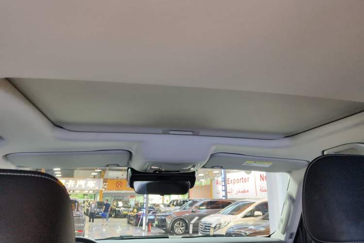 Used Tank 300 2021 2.0T Wind & Forest Iron Rider
