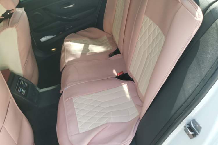 Used BMW 3 Series 2019 320Li Fashion Model Left Rear Seat