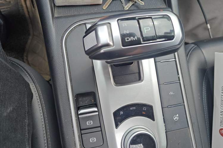 Used Great Wall Poer 2019 2.0T Automatic Gasoline 4x4 Comfort Edition GW4C20B
