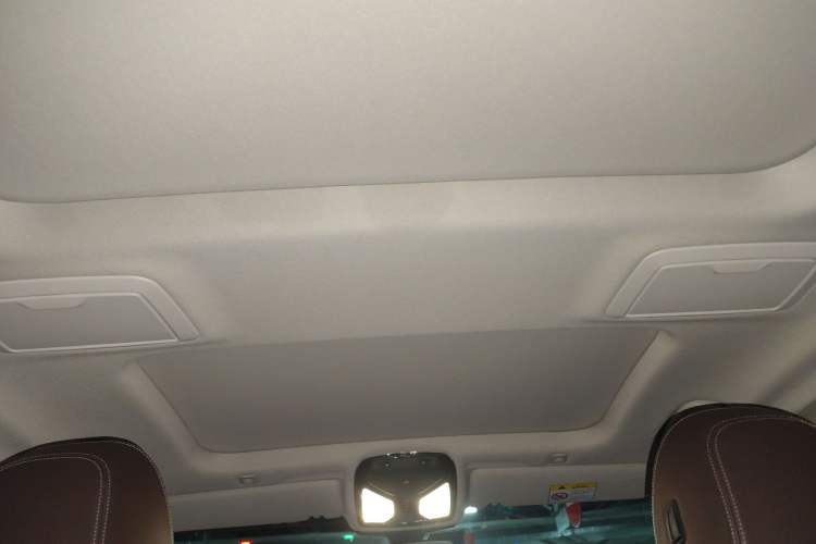 Used BMW 5 Series New Energy 2019 530Le Luxury Package