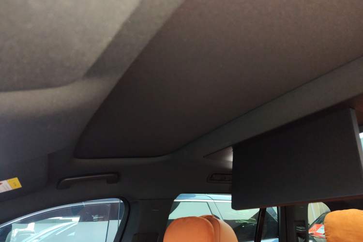 Used Li Auto L9 2024 Ultra Model Headliner