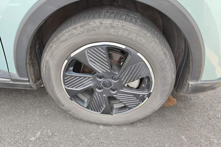 Used Geometry E Firefly 2022 401KM Lightning Tiger 4-Seater
