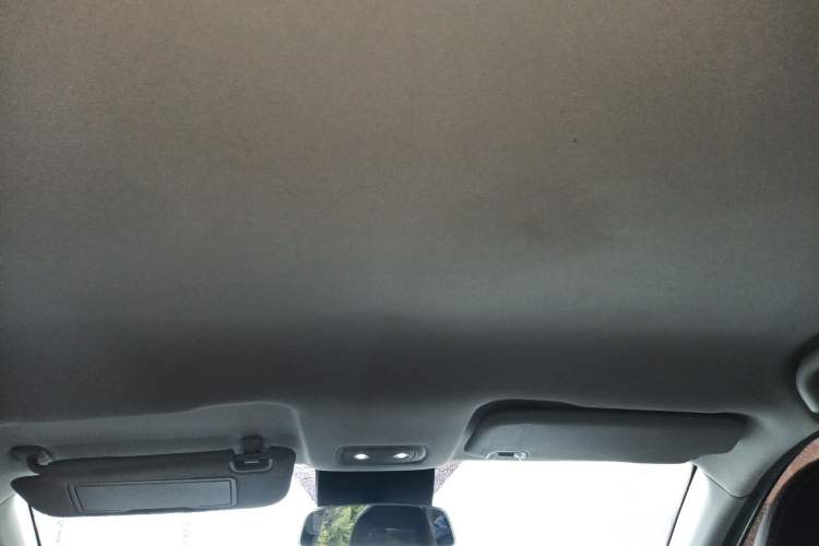 Used NETA V 2021 Long-Range Entertainment Edition Upgrade Model Headliner