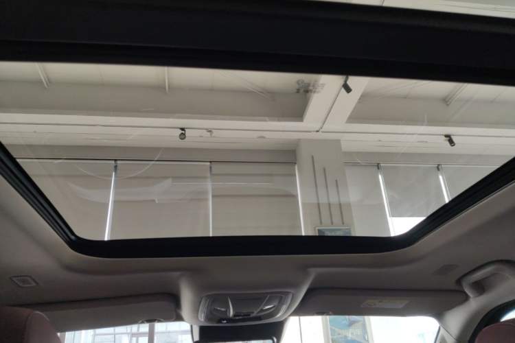 Used Tank 400 New Energy 2024 Hi4-T Off-Road Edition Headliner