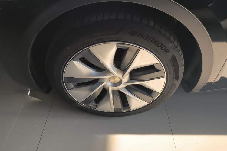 Used Tesla Model Y 2021 Standard Range Rear-Wheel Drive Version
