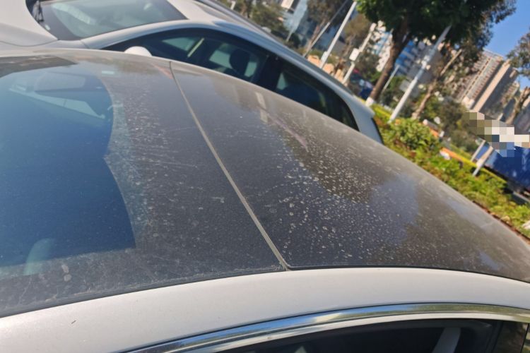 Used Tesla Model 3 (Import) 2019 Standard Range Rear-Wheel Drive Upgraded Version (60 kWh)