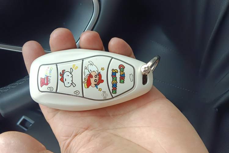 Used Hongqi H5 2023 2.0T Automatic Smart Connect Flagship Edition
