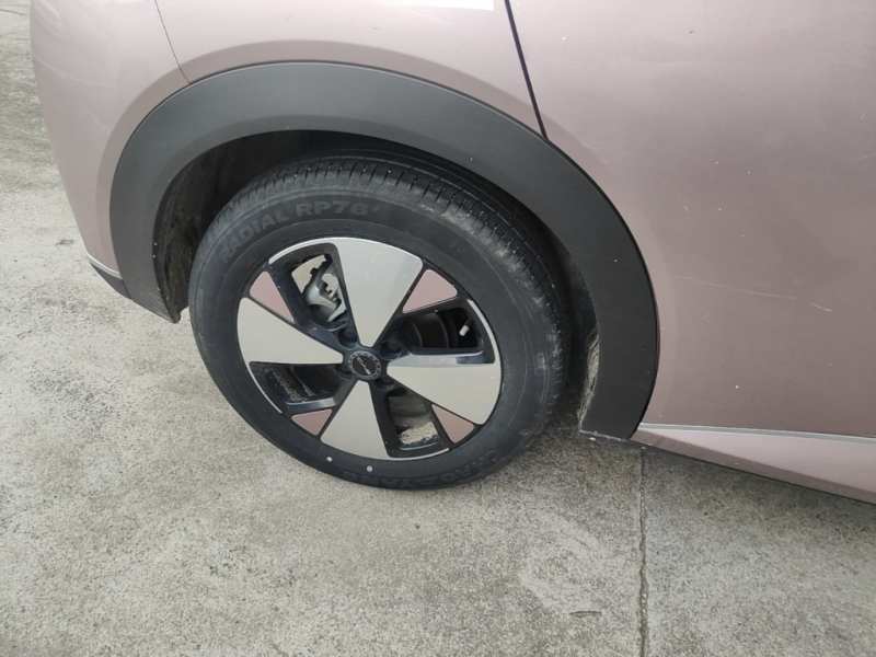 Used BYD Dolphin 2023 420 km Fashion Edition — 25