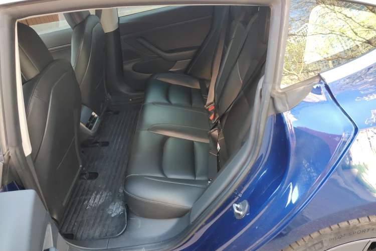 Used Tesla Model 3 2020 Standard Range Rear-Wheel Drive Upgraded Version Left Rear Seat