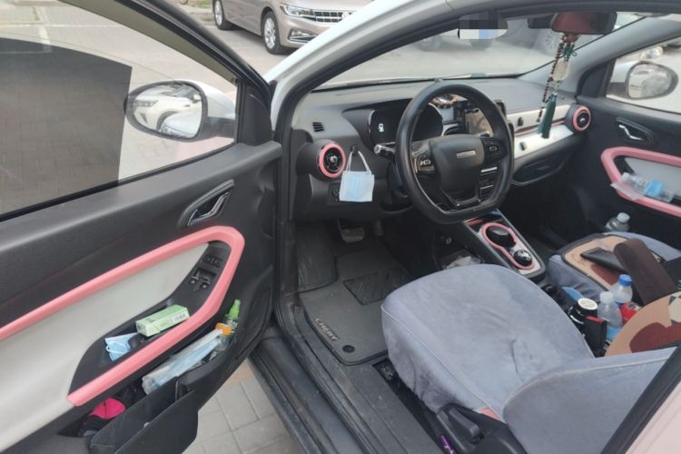 Used Chery QQ Little Ant 2022 Restyled Version Sweet Pink Edition Half-Sugar Version 30.6 kWh 30 kW 301 km Driver Seat