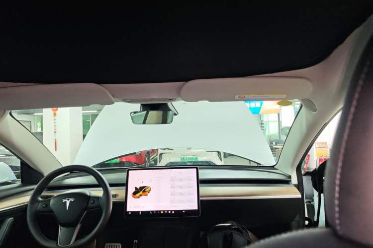 Used Tesla Model 3 2021 Performance High-Performance All-Wheel-Drive Version 3D6 Headliner