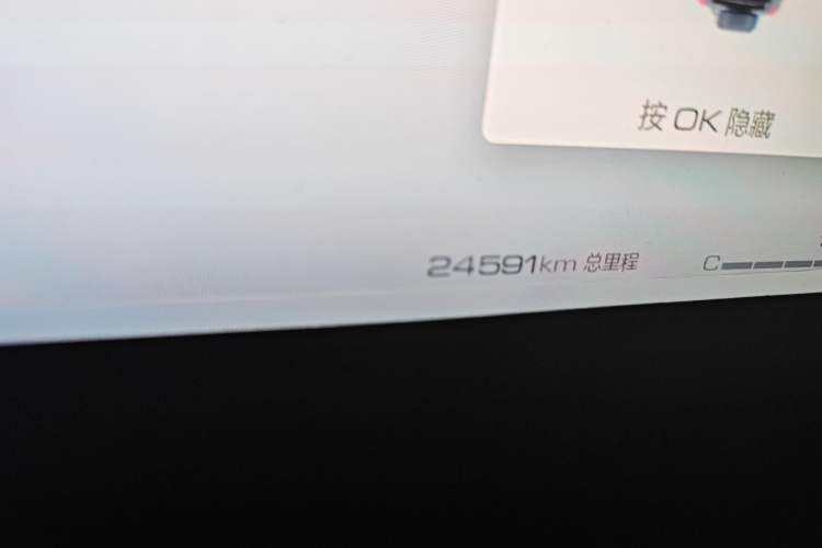 Used Tank 400 2025 2.0T Gasoline Version
