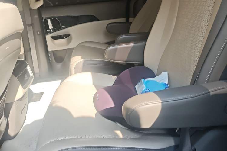 Used Kia Carnival 2021 2.0T Flagship Edition