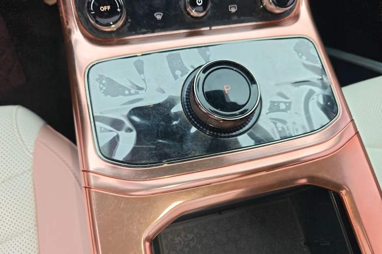 Used NETA U 2022 NETA U-Ⅱ 610 Ternary Lithium