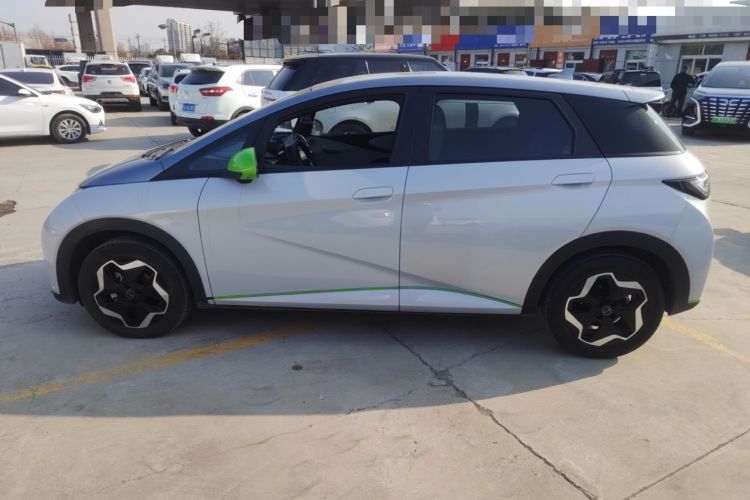 Used BYD Dolphin 2021 405 km Free Version