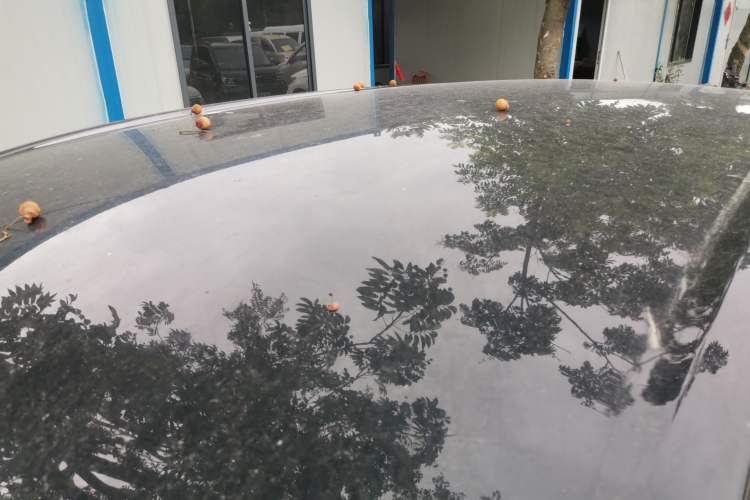 Used Wuling Bingo PLUS 2024 510 km Flagship Edition Four-Seater Version
