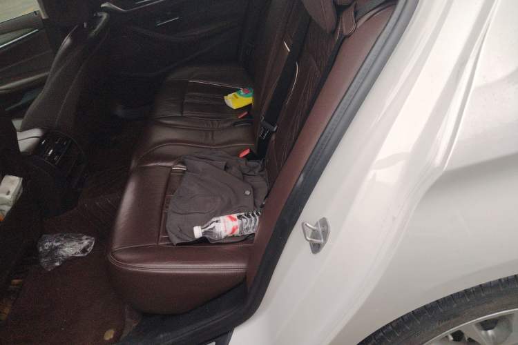 Used BMW 5 Series 2020 530Li Leading Edition Luxury Package