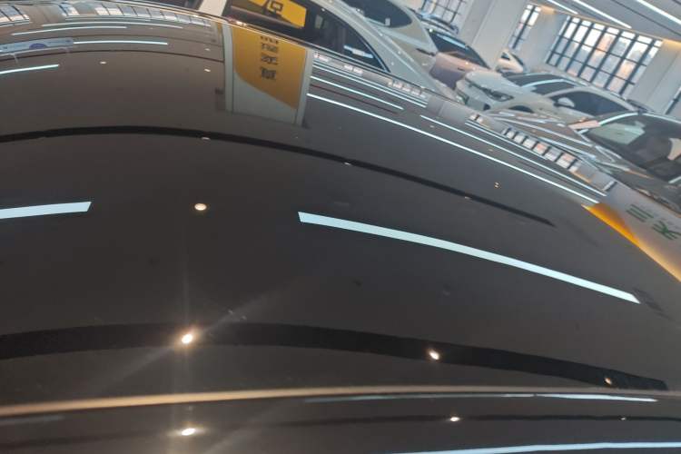 Used Ford Mustang Mach-E 2021 AION Y Plus Rear-Drive Luxury Edition (Long Range)
