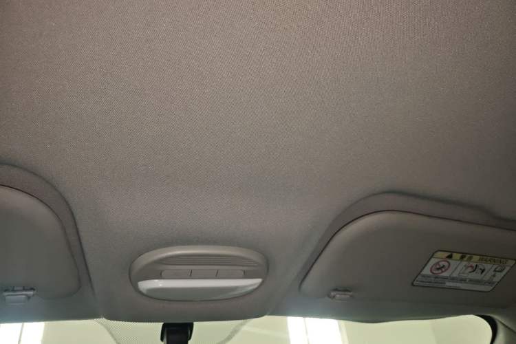 Used Chery QQ Little Ant 2022 Revised Version Sweet Pink Edition Half-Sugar Version Lithium Iron Phosphate 30.7 kWh 30 kW 301 km Headliner