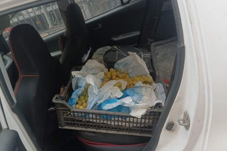 Used Suzuki Alto 2013 1.0L Automatic Luxury Model Left Rear Seat