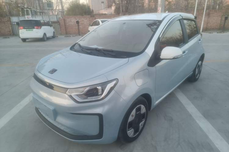 Used SOL E10X 2022 Flower Fairy Design Four-Leaf Clover
