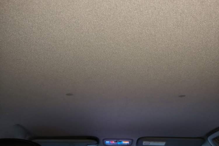 Used Toyota YARiS L Zhi Xuan 2020 X-Trail X 1.5L CVT Luxury Edition Headliner