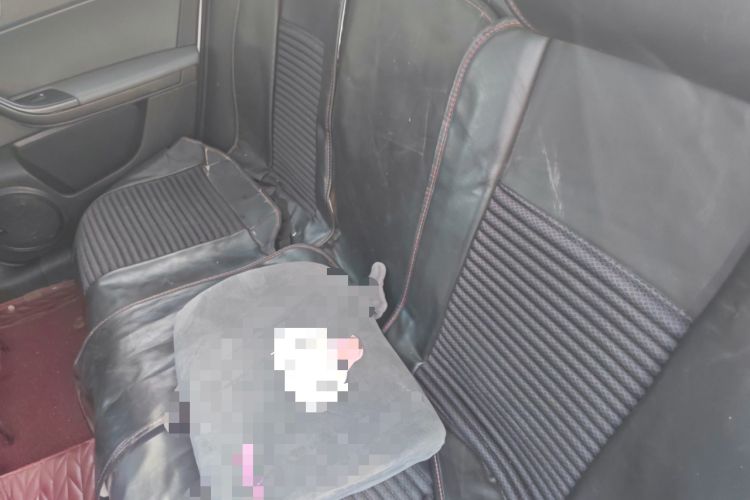 Used Qoros 3 2021 3S Sedan 1.5T CVT Leading Model
