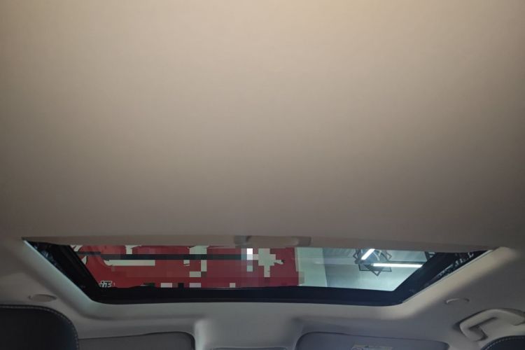 Used Tank 300 2024 2.0T Crosser