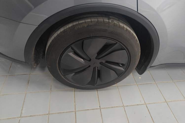 Used Tesla Model Y 2025 Rear-Wheel Drive First Edition Exterior 5