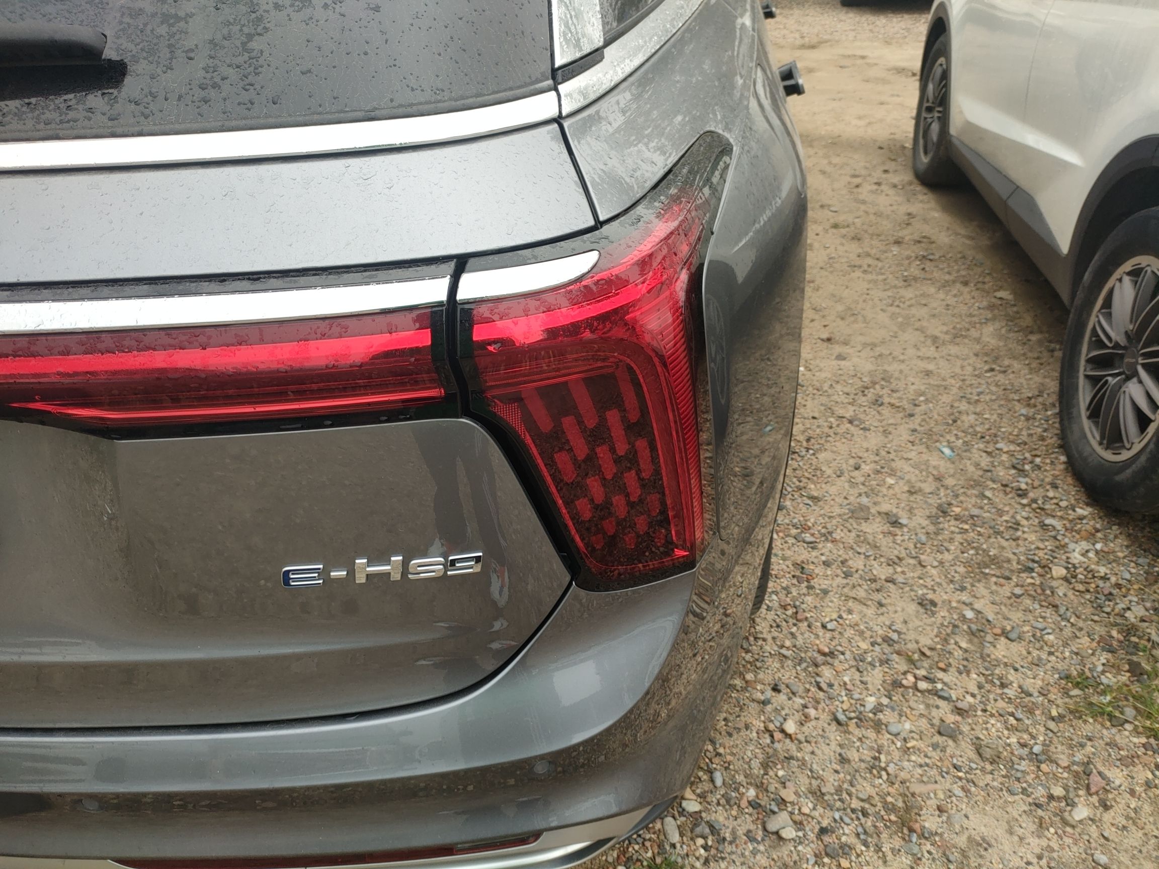 Hongqi E-HS9 2022 690 km Range Flagship Edition Six Seats — снимка 9