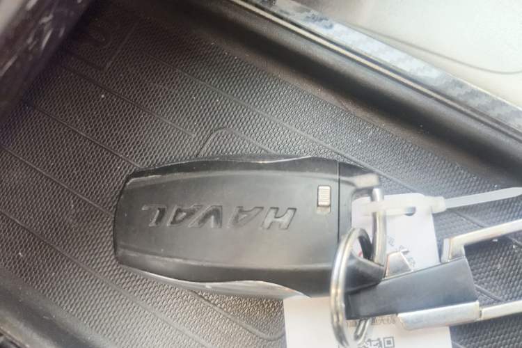 Used Haval DARGO 2021 1.5T DCT Two-Wheel Drive Labrador Edition
