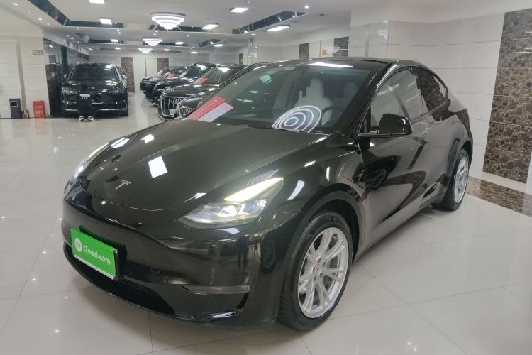 Used Tesla Model Y 2021 Long-Range All-Wheel-Drive Version 3D7
