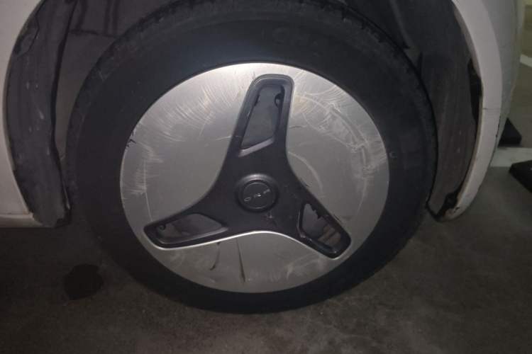 Used ORA White Cat 2020 360km Standard Version